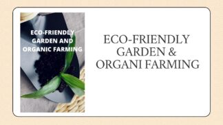 Eco-Friendly Garden And Organic Farming